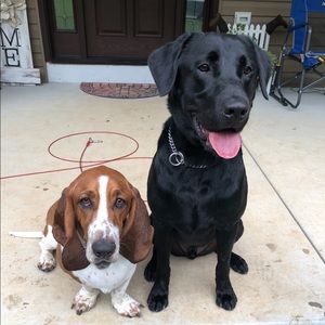 Meet your Posher, Sue